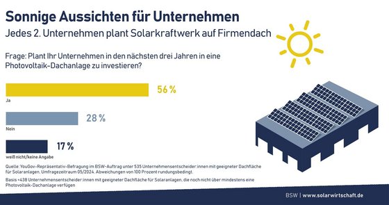 Statistik von BSW